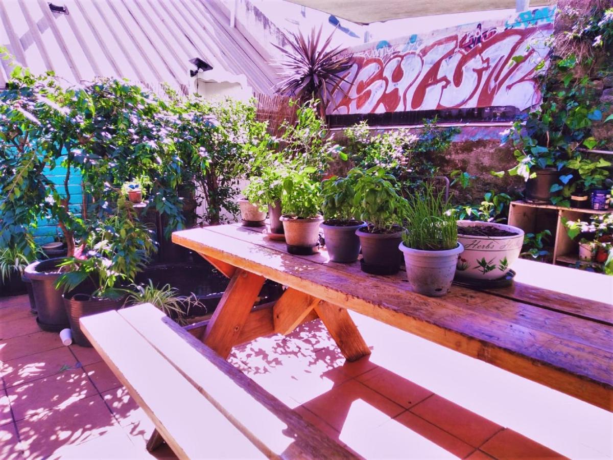 Zen Harmony House Sydney Hotel ภายนอก รูปภาพ