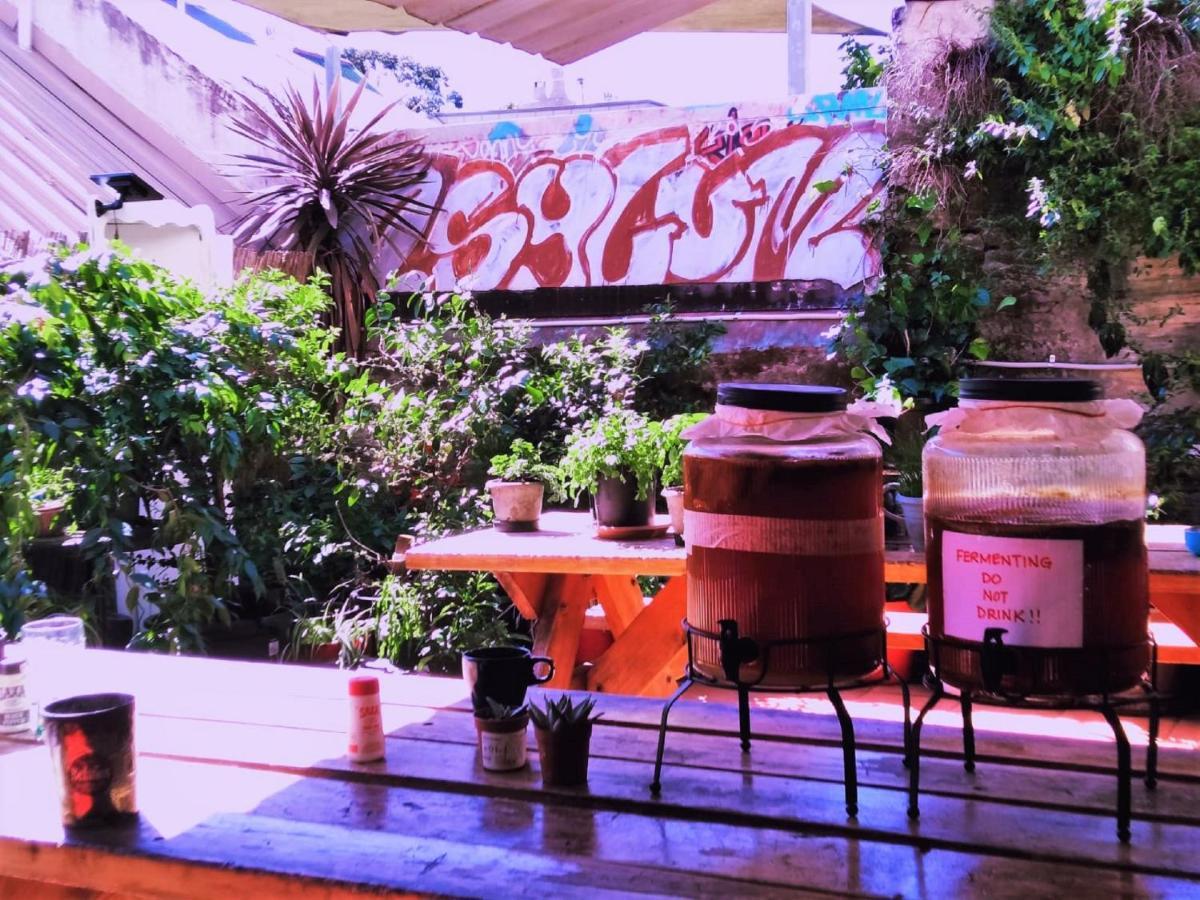 Zen Harmony House Sydney Hotel ภายนอก รูปภาพ