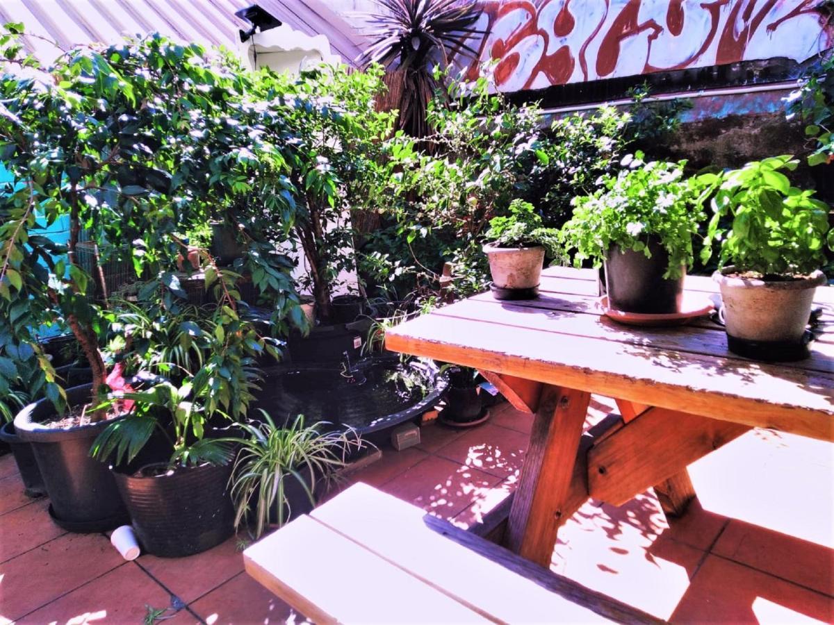 Zen Harmony House Sydney Hotel ภายนอก รูปภาพ